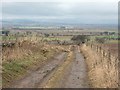 Track to Nether Hayston Farm near Glamis