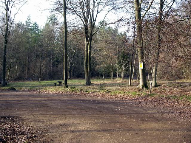 Parking and picnic area at Micheldever Wood