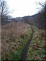 Path on disused railway line below Earlsheaton