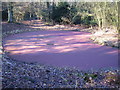 TL0401 : Chipperfield Common: The pink pond by Nigel Cox