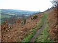 The Kirklees Way on Thornhill Edge