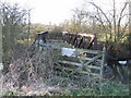 Old Bridge across River Thame looking towards Chippinghurst Manor