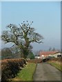 Lane to High Girsby Grange