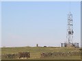 Trig point and challenger.