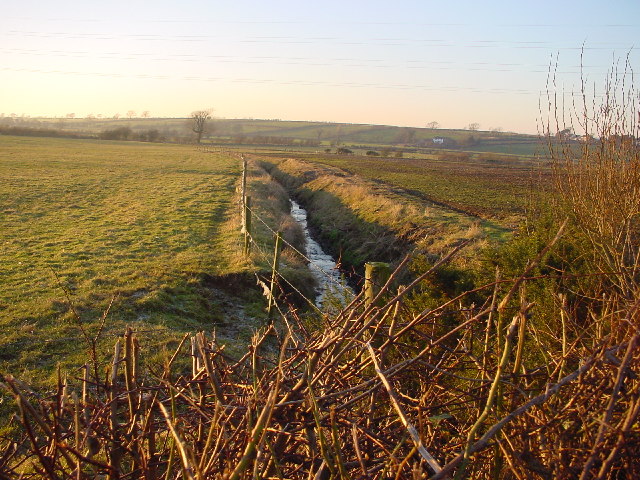 Drainage Ditch