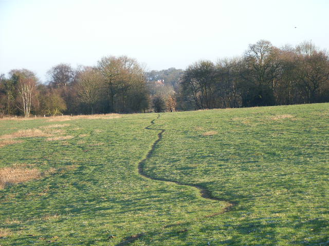 Farmland near Bracknell