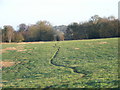 Farmland near Bracknell