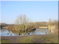 Pond, Gilroy Road Nature Reserve