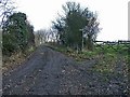 Track leading to Celtic Harmony Camp, Brickendon