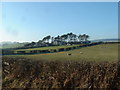 Cae Segwen Farm, near Clocaenog