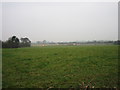 J1680 : Field at Aldergrove by Brian Shaw