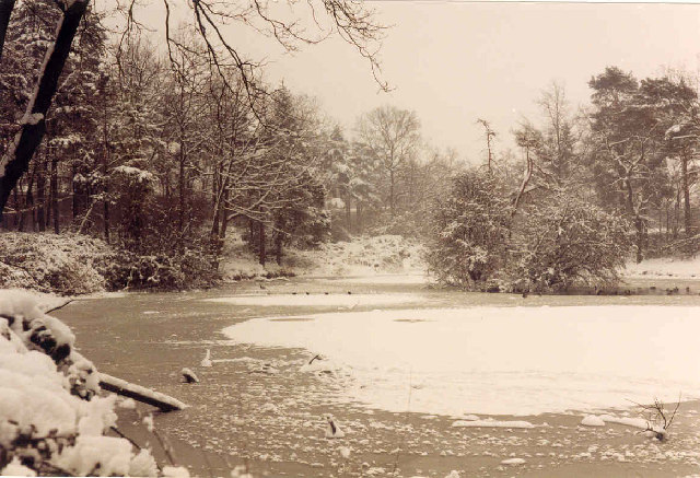Oakwood Pond, Harlow in Winter
