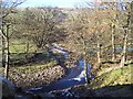 River Cover, near Braidley