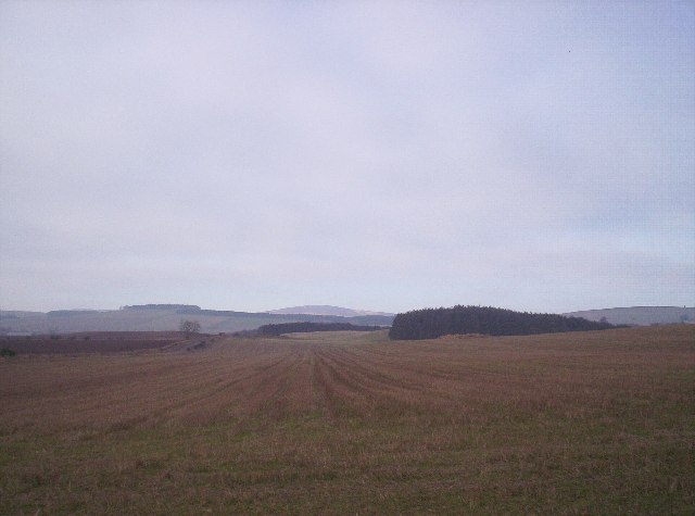 Fields and Woodland