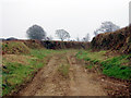 Farm lane near Amytree