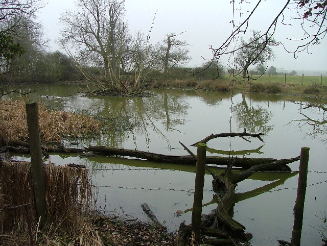 Pond at Redcoats Farm