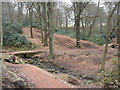 SD7011 : Raveden Brook nature trail near Smithills Hall by Margaret Clough