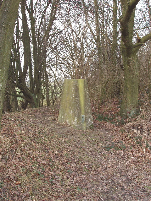 Triangulation pillar in Cowcroft Woods, Botley