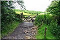 SX6759 : Peek Moor Gate - Dartmoor by Richard Knights