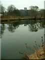 The River Don at Conisbrough