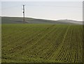 Fields near Tarrylaw