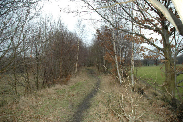 Old colliery line SW of Dodworth