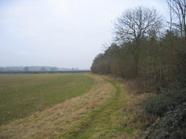 Footpath alongside Moreton Wood