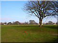 Playing Fields, Old Shoreham Road