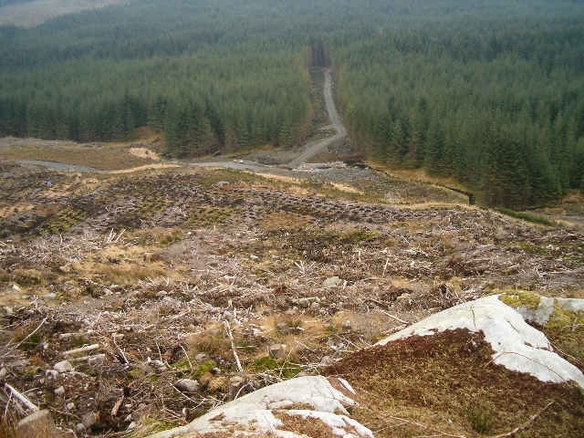 Forestry clear fell and new timber transport road, Eredine Forest