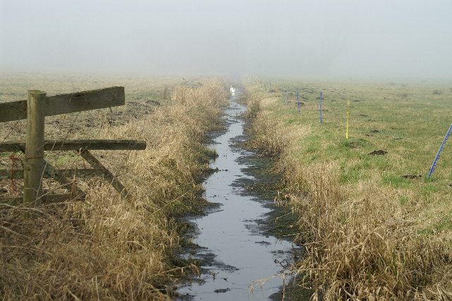 Ditch on a misty Tealham Moor