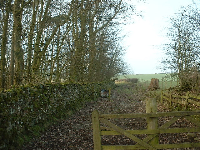 Lane near Kirkby Lonsdale