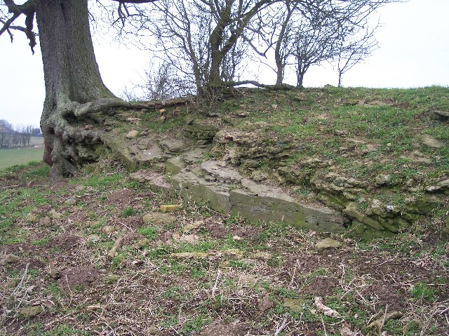 Quarry near Durstone Farm