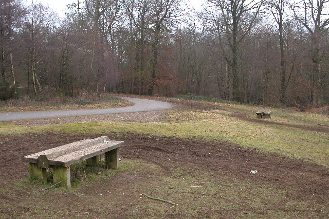 Picnic area, Eastbachmeend Enclosure