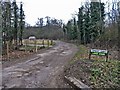 Track leading to Aimes Green