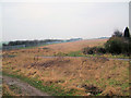 Field next to housing estate.