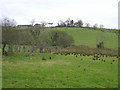 Corbally Townland