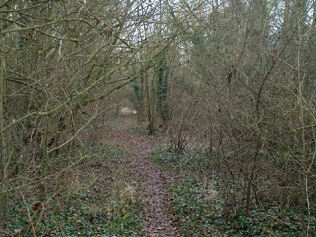 Compton Berkshire disused railway track © Steve Matthews cc-by-sa/2.0 ...