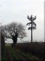 Footpath alongside mobile phone aerial.