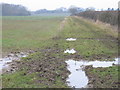 SP6830 : Muddy field by Pip Rolls