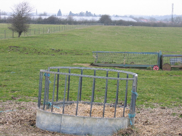 Straw feeder and field
