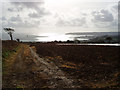 Fields at Rosemorran