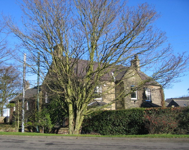 House and tree, Eland Green