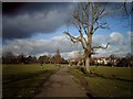 Victoria Park, Finchley Central