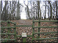 Stiles and footpath through Edney Wood