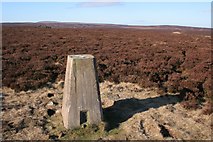 SD9735 : Trig point, Stanbury Moor by Mark Anderson