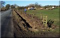 Hedge Laying.