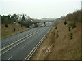 A24, Broadbridge Heath