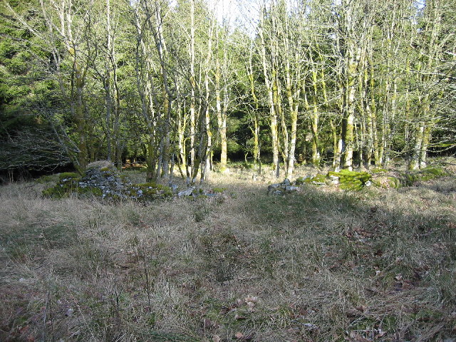 Moneyrees Stell (remains), Wark Forest