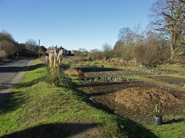 Allotments, Piddington