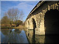 River Thames: Swinford Bridge